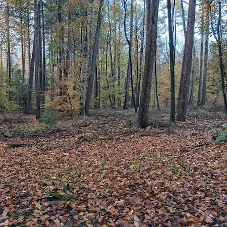 Chalet Harmony Prive Wellness