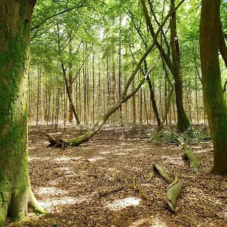 Harmony Prive Wellness