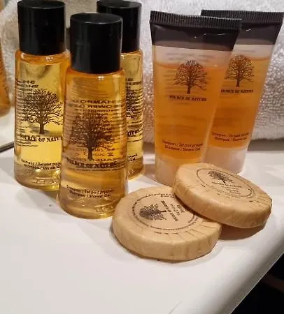 Σαλέ Harmony Prive Wellness Putten