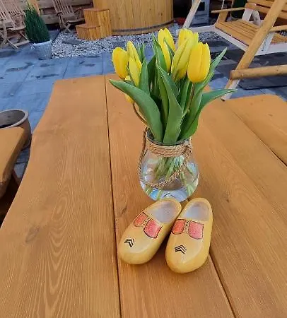 Harmony Prive Wellness * Putten