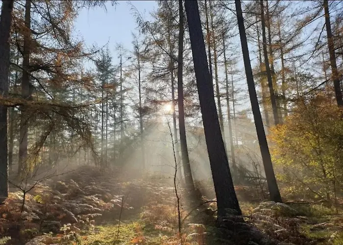 Chalet Harmony Prive Wellness *