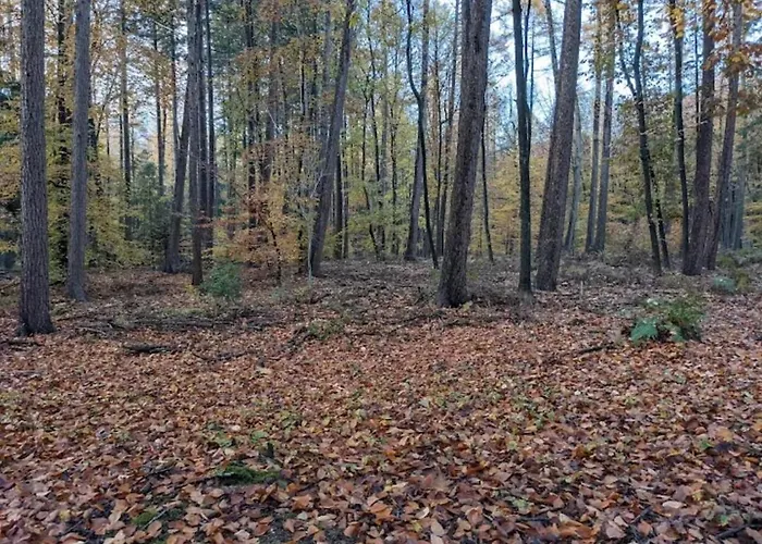 Chalet Harmony Prive Wellness