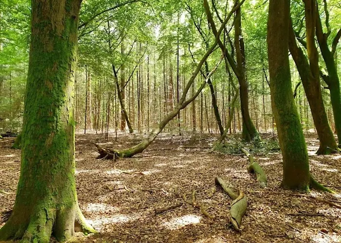 Harmony Prive Wellness