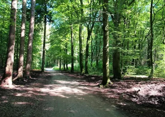 Harmony Prive Wellness Chalet