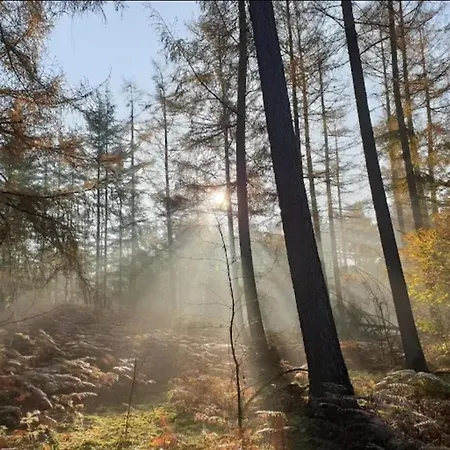 Chalé Harmony Prive Wellness *