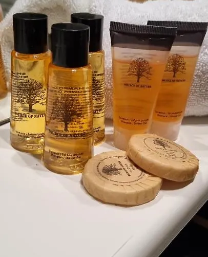 Chalé Harmony Prive Wellness Putten