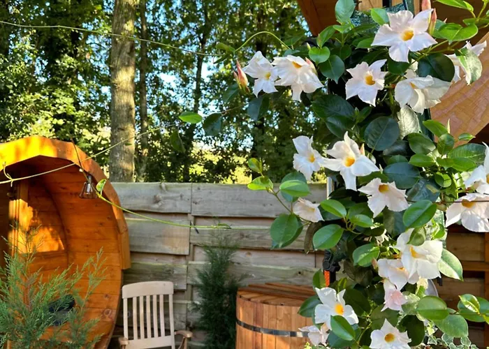 Harmony Prive Wellness *